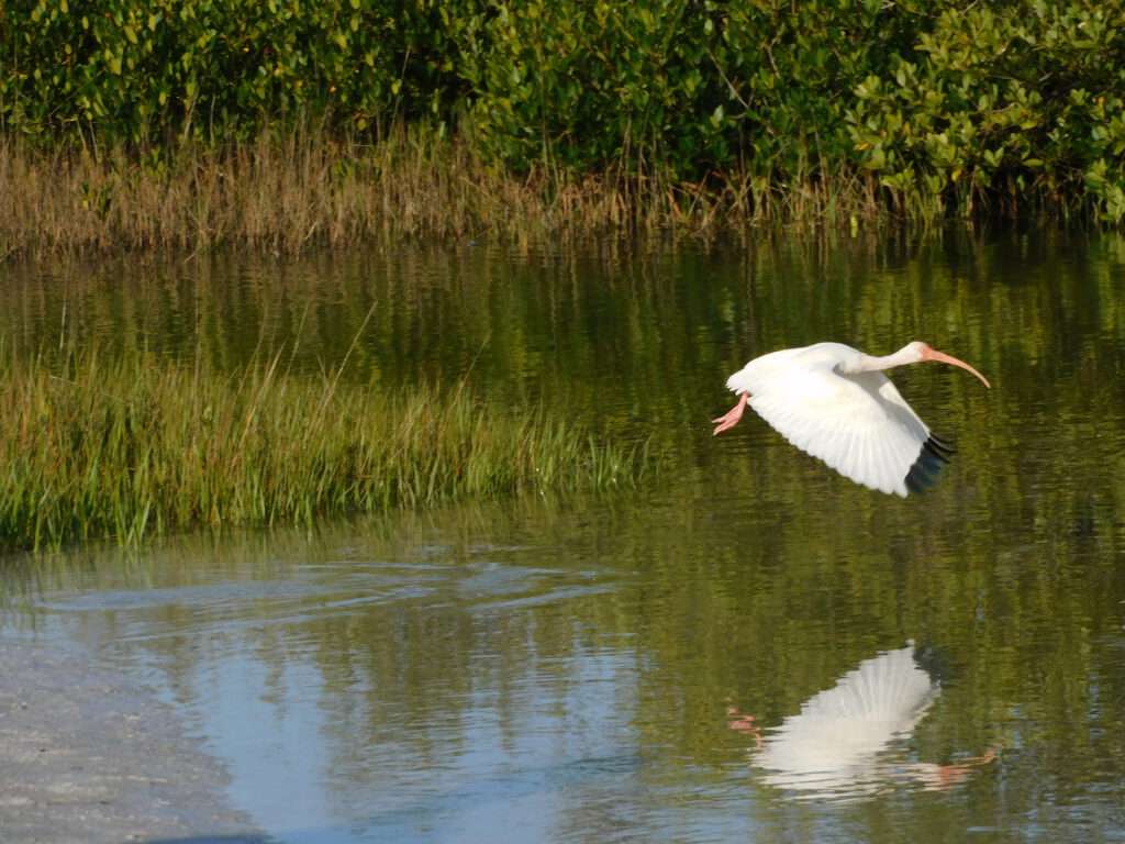 Florida