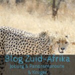 Joburg / Panoramaroute / Kruger