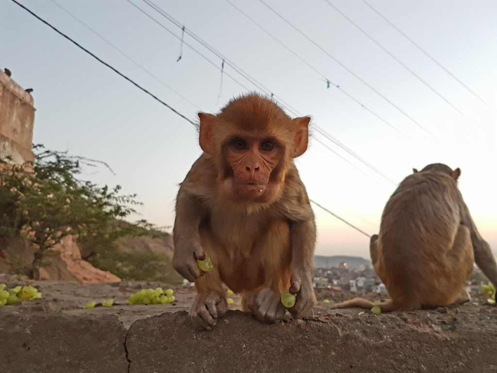 India