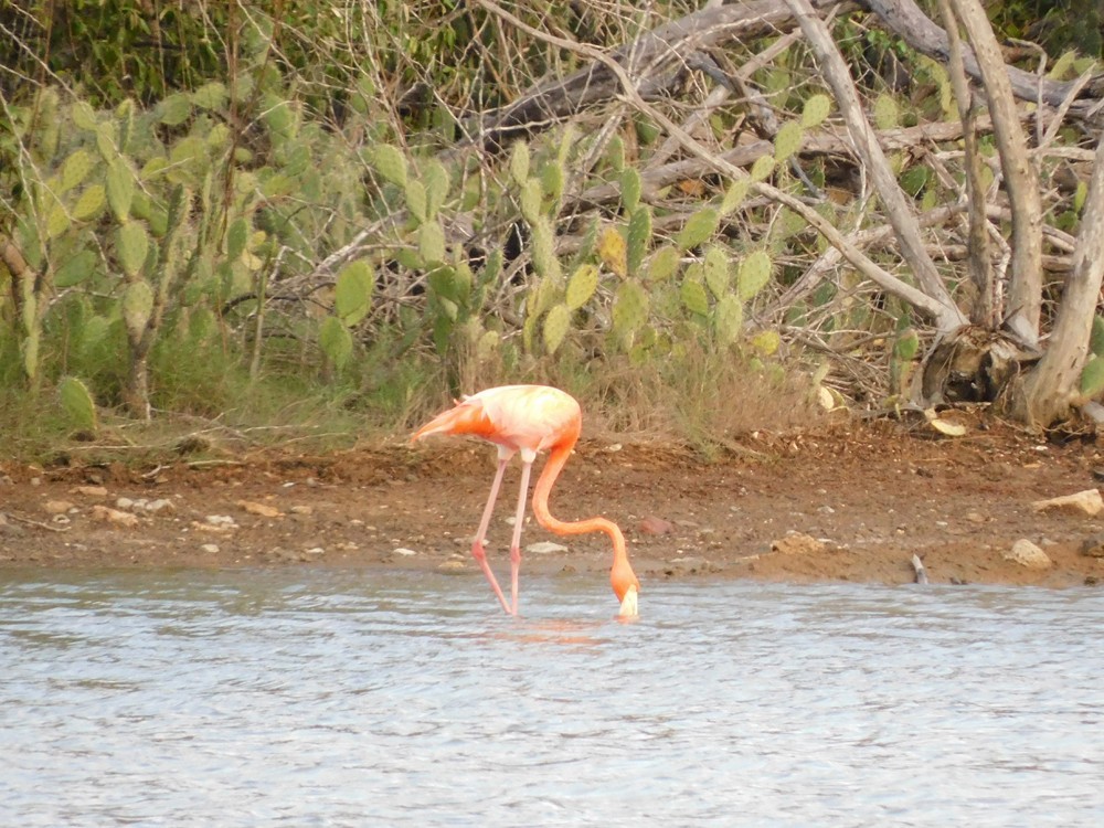 Curaçao