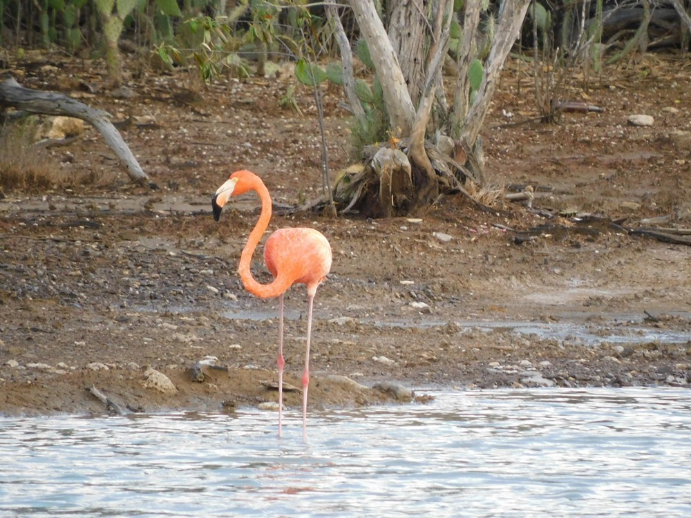 Curaçao