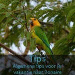 Tips Bonaire